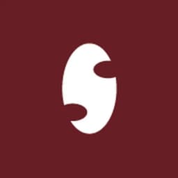 Prague Security Studies Institute